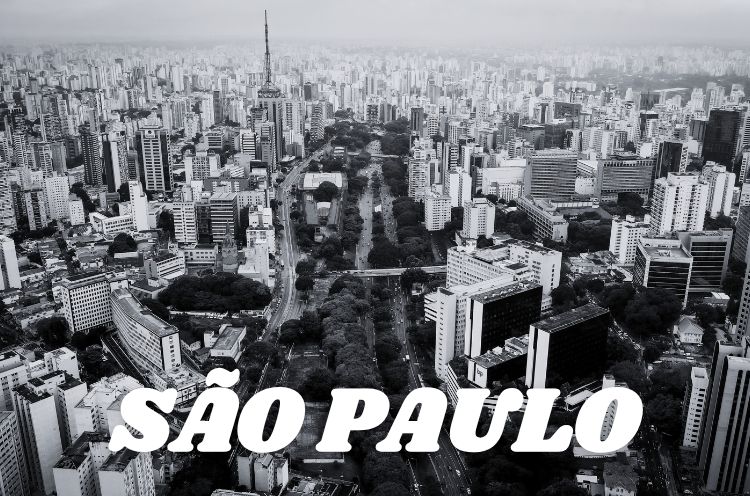 Advogada Trabalhista Drª Juliana Pricoli em São Paulo SP